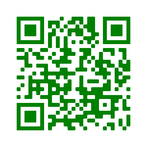scan by your phone